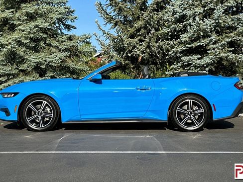 Used 2024 Ford Mustang Premium image 7