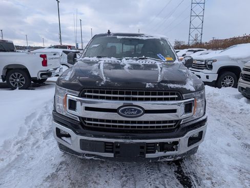 Used 2019 Ford F150 XLT w/ Equipment Group 302A Luxury image 2