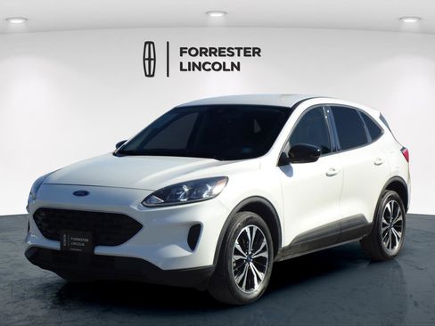 Used 2022 Ford Escape SE w/ SE Sport Appearance Package image 7