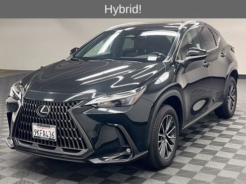 Certified 2024 Lexus NX 350h AWD w/ Cold Area Package image 2