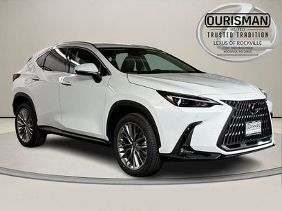 New 2026 Lexus NX 350 AWD w/ Accessory Package (2T)