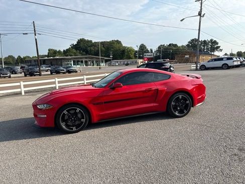 Used 2019 Ford Mustang GT Premium w/ California Special Package RWD image 2