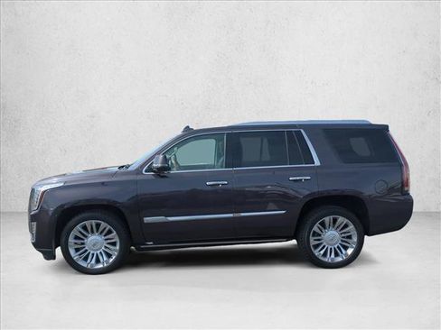 Used 2015 Cadillac Escalade Platinum image 9