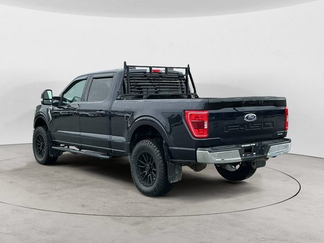 Used 2023 Ford F150 XLT w/ Equipment Group 301A Mid AWD/4WD image 7
