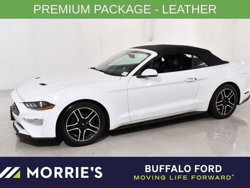 Used 2018 Ford Mustang Premium image 1