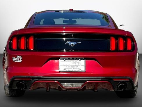 Used 2017 Ford Mustang Premium RWD image 5