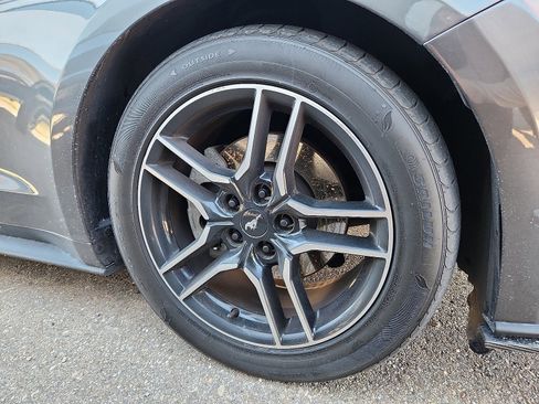 Used 2018 Ford Mustang Premium image 9