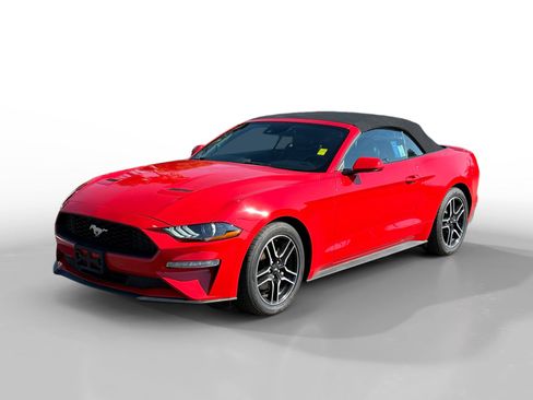 Used 2023 Ford Mustang Premium image 1