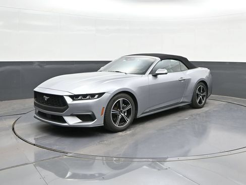 Used 2024 Ford Mustang Premium RWD image 1