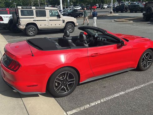 Used 2019 Ford Mustang Premium RWD image 13
