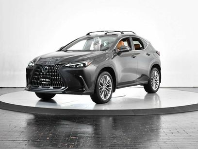 Certified 2025 Lexus NX 350 AWD w/ Premium Package