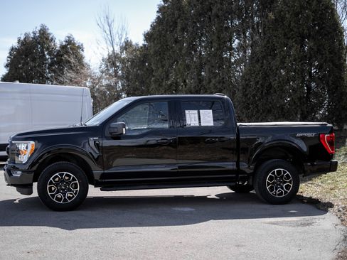 Used 2023 Ford F150 XLT w/ Equipment Group 302A High image 9