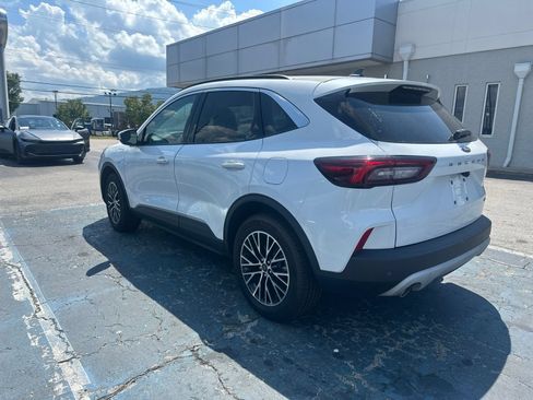 Used 2023 Ford Escape SE FWD image 4