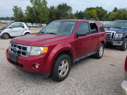 Used 2011 Ford Escape XLT w/ 203A Rapid Spec Order Code