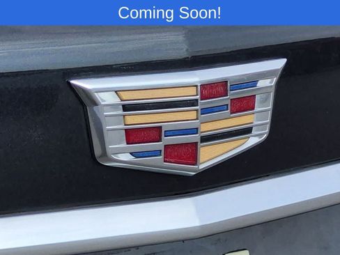 Used 2023 Cadillac XT5 Premium Luxury AWD/4WD image 10