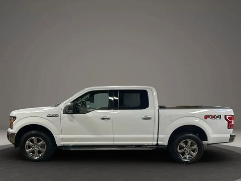 Used 2019 Ford F150 XLT w/ Equipment Group 302A Luxury image 2