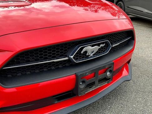 Used 2020 Ford Mustang Premium w/ Ford Safe & Smart Package image 6