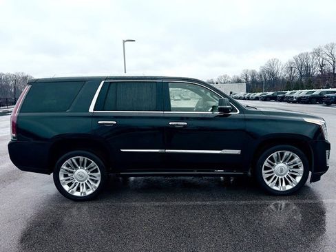 Used 2015 Cadillac Escalade Platinum image 8