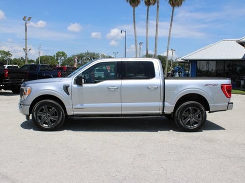 Used 2023 Ford F150 XLT w/ Equipment Group 302A High AWD/4WD image 6