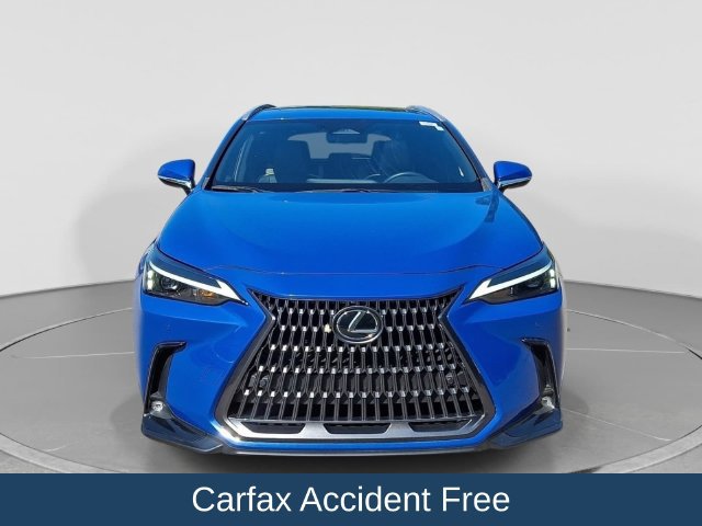 Used 2024 Lexus NX 350 AWD w/ Cold Area Package image 3