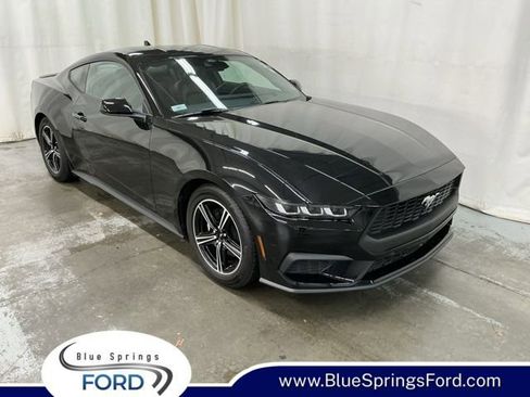 Used 2024 Ford Mustang Premium RWD image 1