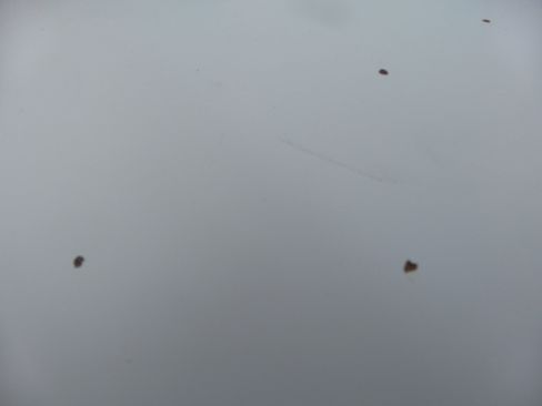 Used 2001 Toyota Sequoia SR5 image 78