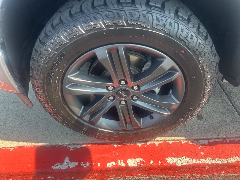 Used 2022 Ford F150 XLT w/ Equipment Group 302A High AWD/4WD image 23