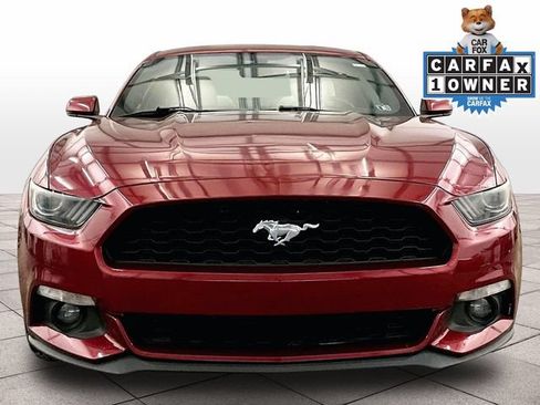 Used 2016 Ford Mustang Premium w/ Ecoboost Performance Package RWD image 4