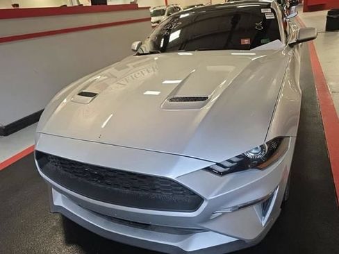 Used 2019 Ford Mustang Coupe w/ Equipment Group 101A RWD image 1