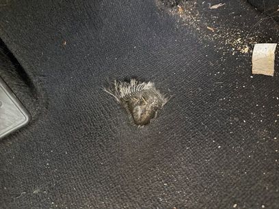 Used 2023 Lexus NX 350 AWD