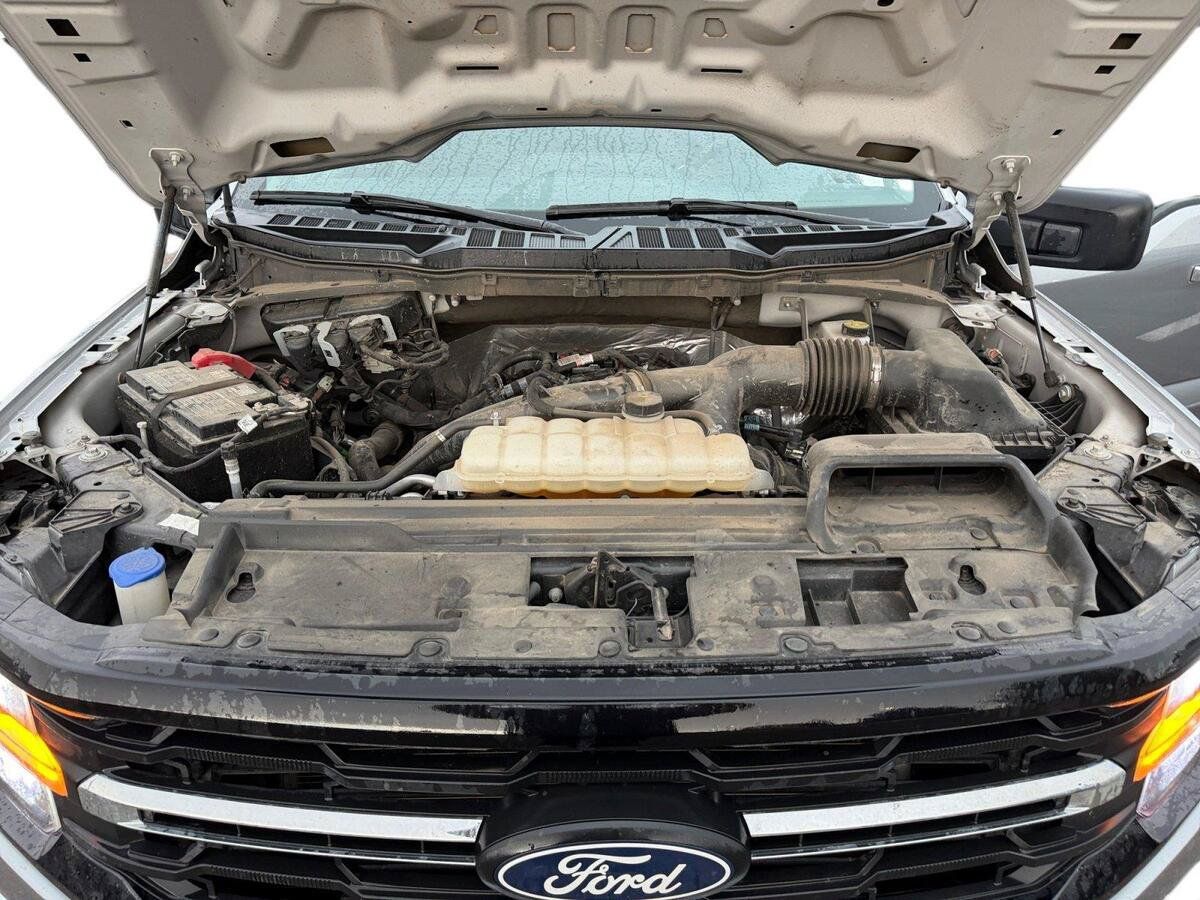 Used 2025 Ford F150 XLT w/ Equipment Group 301A Standard AWD/4WD image 16