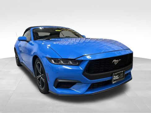 Used 2024 Ford Mustang Premium RWD image 3