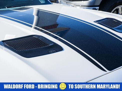 Used 2021 Ford Mustang Coupe w/ Equipment Group 101A image 15