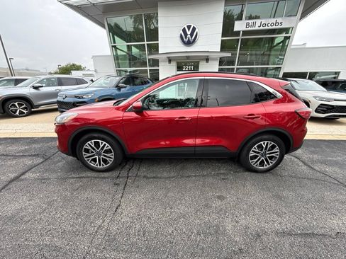 Used 2020 Ford Escape SEL AWD/4WD image 3