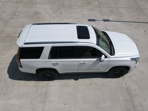 Used 2019 Cadillac Escalade Platinum image 61