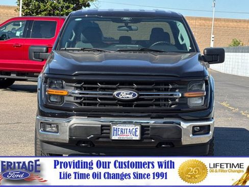 Used 2025 Ford F150 XLT w/ Equipment Group 301A Standard AWD/4WD image 9