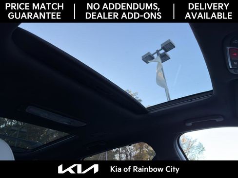 Used 2024 Kia Telluride SX Prestige X-Pro image 28