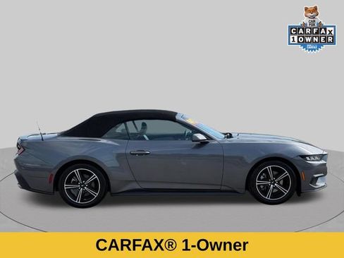 Used 2024 Ford Mustang Premium RWD image 2