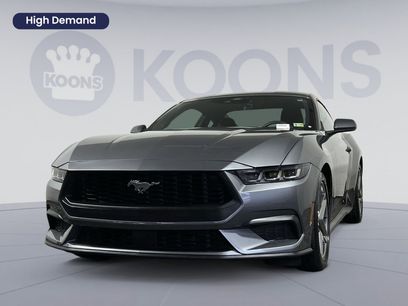 Used 2024 Ford Mustang EcoBoost