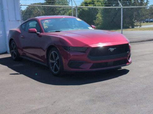 Certified 2025 Ford Mustang Coupe RWD image 2