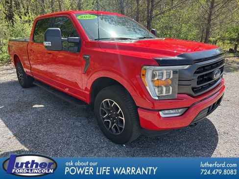 Used 2023 Ford F150 XLT w/ Equipment Group 302A High AWD/4WD image 1