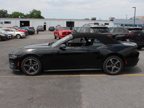 Used 2025 Ford Mustang Premium RWD image 5