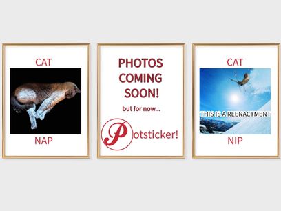 Used 2022 Ford Transit 350 XLT