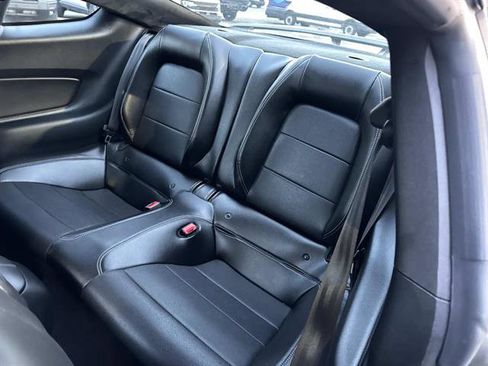 Used 2019 Ford Mustang Premium w/ Ecoboost Performance Package image 7