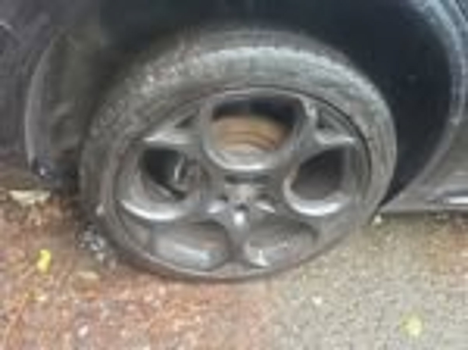 Used 2023 Alfa Romeo Stelvio Estrema AWD/4WD image 18