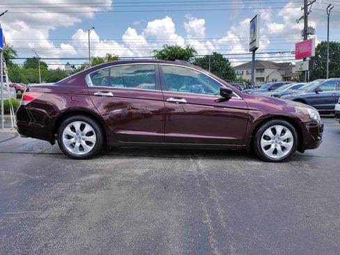 Used 2010 Honda Accord EX-L image 8