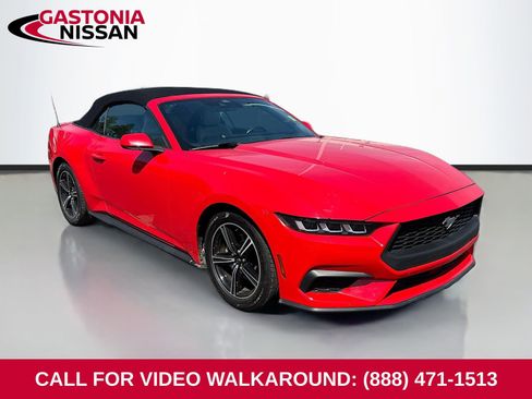 Used 2024 Ford Mustang Premium image 1
