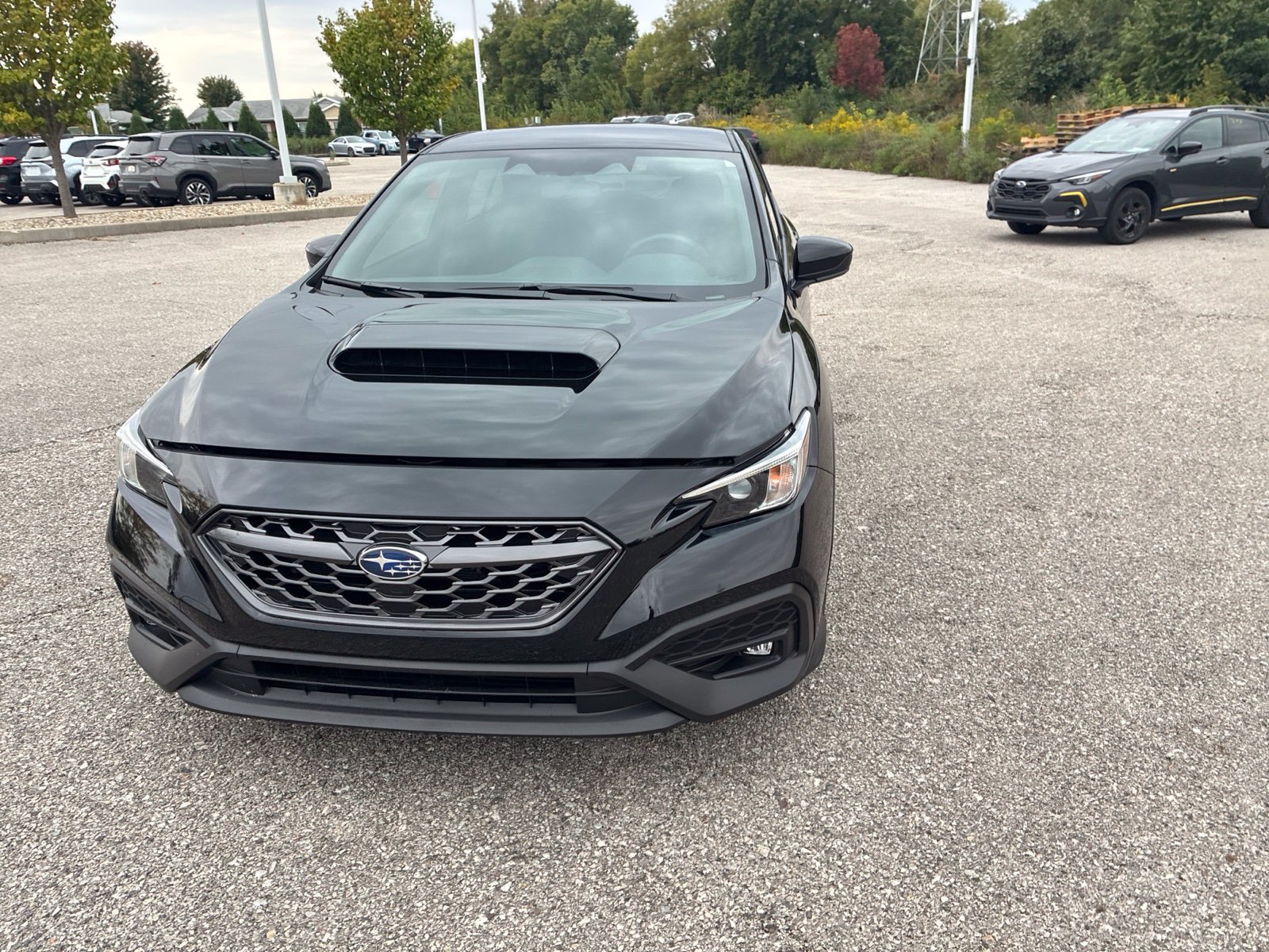 Used 2024 Subaru WRX Premium AWD/4WD image 5