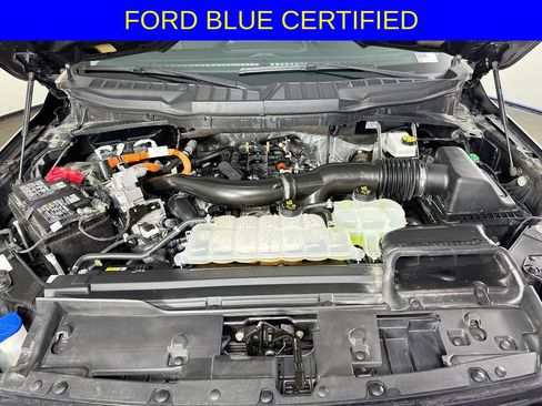 Used 2025 Ford F150 XLT w/ Equipment Group 301A Standard AWD/4WD image 31