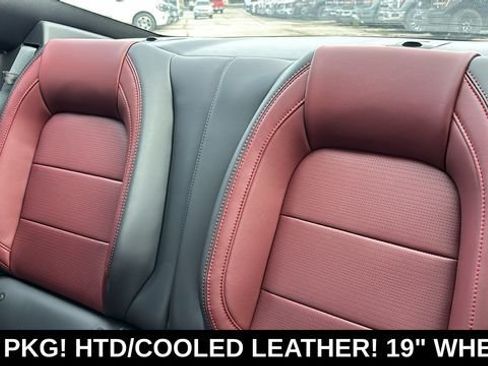 New 2026 Ford Mustang Premium RWD image 25